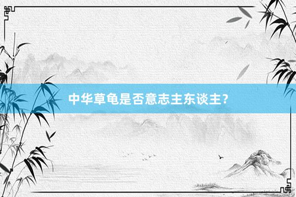 中华草龟是否意志主东谈主？